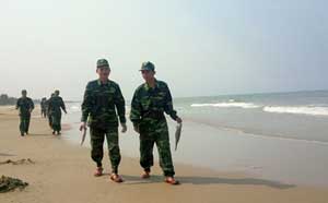 Chiều 25/4, đơn vị bộ đội địa phương được huy động đi thu gom cá mới chết dạt vào bãi biển thôn Đá Nhảy, xã Thanh Trạch.