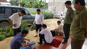 Cán bộ Chi cục Chăn nuôi và Thú y tiến hành test nhanh trên các mẫu nước tiểu đàn lợn kiểm tra chất cấm trong chăn nuôi lợn tại xã Ngọc Mỹ, Tân Lạc.