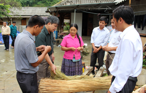 Đồng chí Đinh Văn Dực, TUV, Trưởng Ban dân tộc tỉnh(thứ 2 từ trái sang) và cán bộ nắm bắt việc triển khai mô hình trồng lanh dệt vải tại xóm Pà Cò con, xã Pà Cò(huyện Mai Châu)