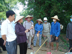 Cán bộ trạm bảo vệ thực vật huyện Lạc Sơn hướng dẫn bà con xã Vũ Lâm phun thuốc Nibas 50D trừ rầy trên lúa
