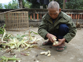 Đợt này, xã An Bình có 250 khẩu thuộc 200 hộ nghèo được cứu trợ gạo đột xuất.