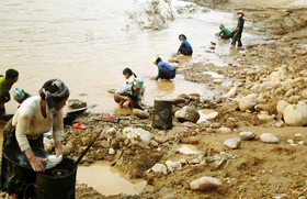 Người dân Dakrông đổ sô ra những đoạn sông còn nước để mót vàng sa khoáng.
 
