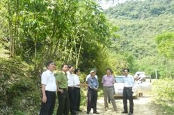 Thứ trưởng Bộ NN&PTNT Hứa Đức Nhị cùng đoàn công tác đi kiểm tra công tác trồng rừng phòng hộ tại xóm Bắc Hưng, xã Quyết Chiến, huyện Tân Lạc