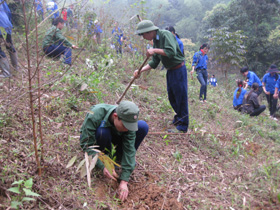 Đoàn viên, thanh niên TPHB trồng cây tặng gia đình chính sách tại xã Trung Minh.