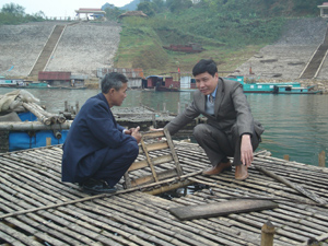 Nuôi trồng thủy sản là thế mạnh phát triển kinh tế của các xã vùng hồ sông Hòa Bình của huyện Cao phong.