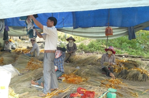 Chủ cơ sở sản xuất chổi chít Thanh Niên, xã Yên Mông, TPHB Trần Văn Điệp luôn mong muốn mở rộng quy mô sản xuất, tạo nhiều việc làm cho lao động nông thôn.