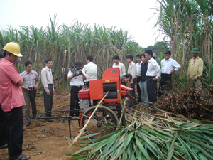 Nông dân huyện Cao Phong đầu tư phương tiện trồng, thu hoạch mía cho hiệu quả cao.