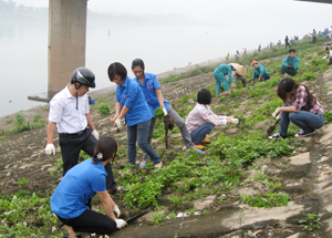 Trên 600 ĐV- TN và công nhân Công ty CP môi trường đô thị Hòa Bình tham gia dọn vệ sinh dọc 2 bờ kè sông Đà.