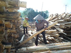 Nhiều gia đình ở Lạc Thủy thoát nghèo  từ phát triển kinh tế  trang trại.