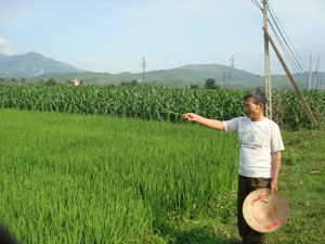 Hàng ngày, ông Nguyễn Văn Dề vẫn đi khắp các cánh đồng bảo vệ mùa màng cho bà con trong xã.