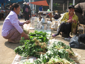 Trong tháng 4, giá các mặt hàng thực phẩm bình ổn so với tháng trước khiến nhiều người dân bớt lao đao vì “bão” giá  (ảnh: người dân tạm yên lòng khi mua rau tại chợ nông sản Bình Thanh, thị trấn Cao Phong).