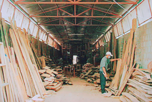 Qua đào tạo nghề, nhiều lao động đã có việc làm tại các cơ sở sản xuất - kinh doanh dich vụ trên địa bàn huyện lạc Thủy
