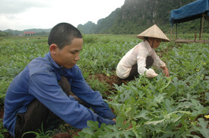 Thực trạng năng suất cây trồng của huyện Yên Thủy phụ thuộc khá nhiều vào diễn biến thời tiết hàng năm.
Ảnh: Nhân dân xã Lạc Lương (Yên Thủy) trồng dưa hấu, tăng thu nhập cho gia đình.   
