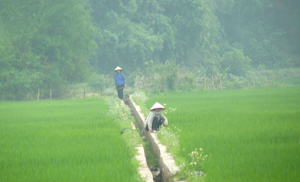 Xã Yên Mông đầu tư xây dựng hệ thống kênh mương kiên cố phục vụ sản xuất nông nghiệp.