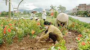 Công ty CP Môi trường đô thị Hoà Bình huy động nhiều nguồn lực trồng hoa trên các trục đường thành phố.