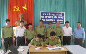 Lãnh đạo Chi cục Kiểm lâm Hòa Bình và Sơn La ký kết quy chế phối hợp.
