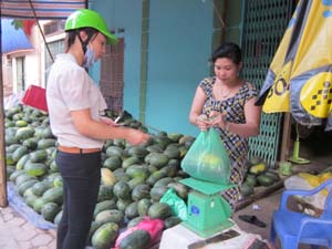 Mỗi ngày, điểm bán dưa đống ở góc chợ Phương Lâm (thành phố Hòa Bình) tiêu thụ trên, dưới 2 tấn quả.