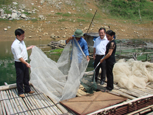 Người dân xóm Doi, xã Hiền Lương (Đà Bắc) phát triển nghề nuôi cá lồng, có thêm thu nhập tạo tiền đề trong xây dựng NTM, phát triển KT-XH.