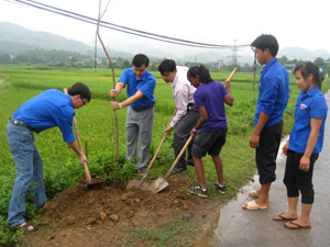 Đại diện lãnh đạo Tỉnh Đoàn, Thành Đoàn, tình nguyện viên Singapore tham gia trồng cây hưởng ứng.