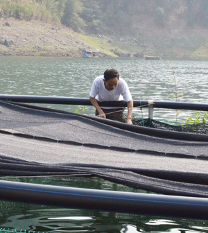 Người dân xã Hiền Lương tìm hiểu hiệu quả của mô hình nuôi cá tầm thương phẩm để có sự lựa chọn mới trong phát triển nguồn lực thủy sản.