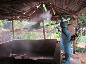 Tổ chức phun thuốc khử trùng môi trường chăn nuôi tại xã Thống Nhất – thành phố Hòa Bình.


