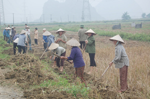 Nhân dân các xã, thị trấn trên địa bàn huyện Yên Thủy ra quân Chiến dịch toàn dân làm thủy lợi.