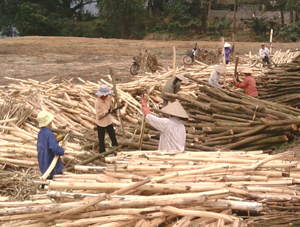 Thực hiện các giải pháp về tiền tệ, vốn tín dụng ngân hàng được ưu tiên đầu tư cho vay đối với các dự án sản xuất kinh doanh khu vực nông nghiệp – nông thôn (Ảnh: dự án khai thác, chế biến gỗ tại khu Thống Nhất, thị trấn Bo).