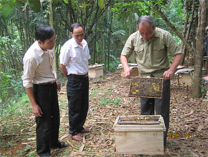 Hội viên CCB xã Vĩnh Tiến (Kim Bôi) thăm mô hình nuôi ong của ông Bùi Văn Minh.

