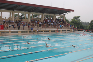 Các vận động viên tham gia nội dung bơi tự do 50m nam THPT.