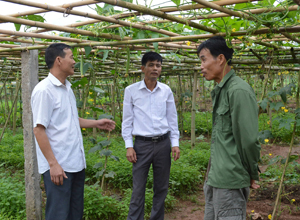 Lãnh đạo Đảng ủy xã Trung Minh nắm bắt tình hình chuyển đổi cơ cấu cây trồng của gia đình đảng viên Nguyễn Kim Toàn ở xóm Trung.
