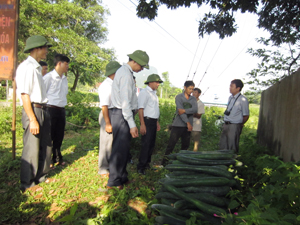 Lãnh đạo Sở NN&PTNT và UBND huyện Yên Thủy khảo sát tình hình tiêu thụ sản phẩm bí xanh an toàn của xóm Vố (xã Hữu Lợi) – 1 trong 5 điểm thực hiện dự án.