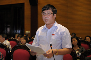 Đại biểu Nguyễn Cao Sơn phát biểu tại hội trường.