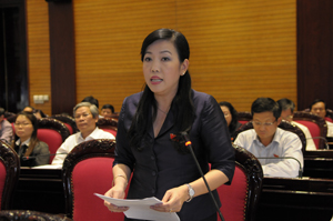 Đại biểu Nguyễn Thanh Hải phát biểu tại Hội trường.