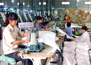Chi nhánh Công ty CP Thương mại và đầu tư Nguyên liệu mới (KCN Mông Hoá)

 giải quyết việc làm cho 81 lao động, thu nhập bình quân trên 3 triệu đồng/người/tháng.

