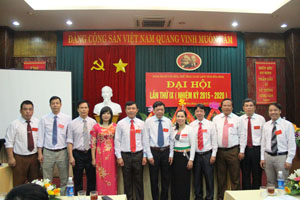BCH Đảng bộ Sở VH - TT&DL nhiệm kỳ mới ra mắt Đại hội.