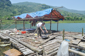 Tính đến nay, ông Bùi Minh Bưn đã đầu tư 5 lồng cá nuôi thử nghiệm trên mặt nước hồ Khả.