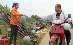 Nông dân xã Vĩnh Đồng (Kim Bôi) đẩy mạnh phong trào thi đua lao động sản xuất làm ra các sản phẩm đáp ứng nhu cầu thị trường, tăng thu nhập.