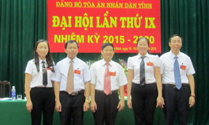 Ban Chấp hành Đảng bộ TAND tỉnh khóa IX (nhiệm kỳ 2015-2020) ra mắt ĐH.