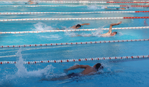 Các vận động viên tham gia nội dung bơi 50m tự do nam 14 – 15 tuổi.
