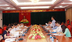 Đồng chí Đôn Tuấn Phong, Ủy viên Đảng đoàn, Phó Chủ tịch kiêm Tổng thư ký Liên hiệp các tổ chức hữu nghị Việt Nam phát biểu tại buổi làm việc.