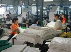 Công ty CP TM&ĐT nguyên liệu mới (KCN Mông Hoá) giải quyết việc làm cho gần 100 lao động với thu nhập bình quân 3,6 triệu đồng/người/tháng.
