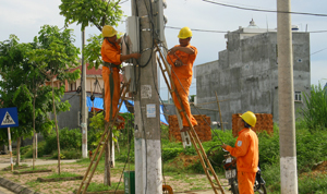 Công nhân Điện lực thành phố Hoà Bình cải tạo hệ thống điện, đảm bảo cung cấp điện ổn định, an toàn trong mùa mưa bão.
