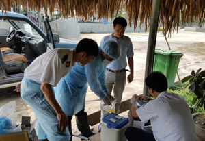 Cán bộ Chi cục Chăn nuôi và Thú y lấy mẫu kiểm tra chất cấm trong chăn nuôi tại Trung tâm cung cấp lợn thịt CP xã Cao Dương (Lương Sơn).