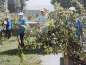 Đoàn viên thanh niên đội tình nguyện xanh xã Dân Chủ tham gia trồng cây, phát quang đường liên xóm.