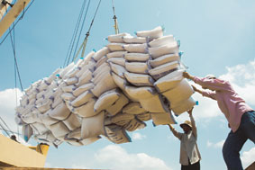 Gạo, một trong những mặt hàng xuất khẩu
chủ lực của nước ta