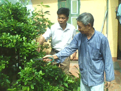 Nhiều hội viên Hội NCT Kỳ Sơn phát triển kinh tế từ trồng cây cảnh.