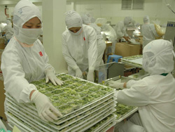 Chế biến rau quả xuất khẩu tại Công ty Asuzac Food (Nhật) ở KCX Tân Thuận