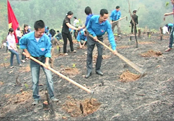 ĐVTN huyện Tân Lạc ra quân trồng cây xanh bảo vệ môi trường