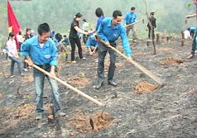 Đoàn viên, thanh niên huyện Kỳ Sơn tham gia trồng cây xanh góp phần bảo vệ môi trường.