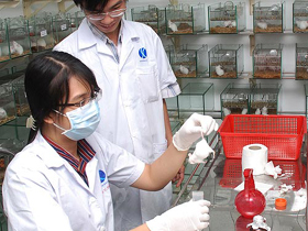 Sinh viên Trường ĐH Khoa học Tự nhiên TPHCM trong giờ thực hành thí nghiệm.